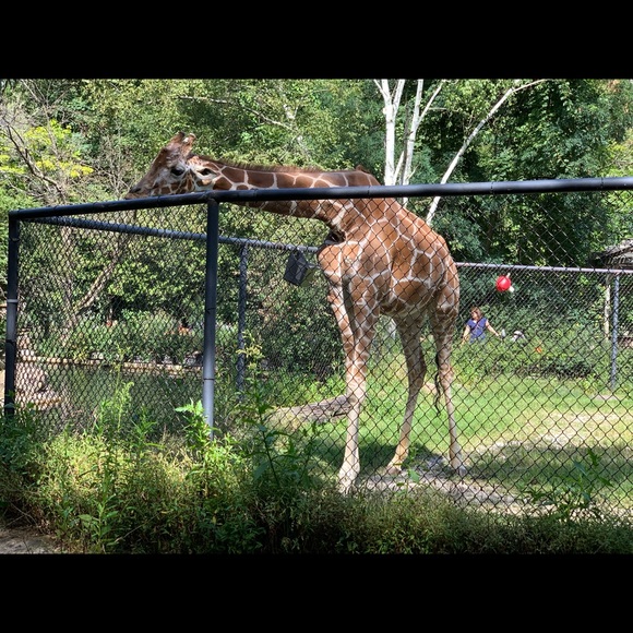 Meet your Posher, Matthew - Picture 1 of 1
